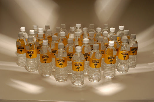 Custom Printed PET Bottled Spring Water (16.9oz)